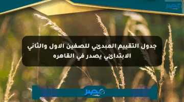 جدول التقييم المبدئي للصفين الأول والثاني الابتدائي يصدر في القاهرة